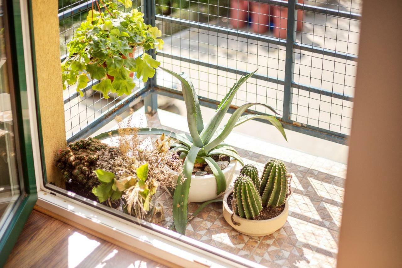 #stayhere - Spacious & Bright 1bdr Shopping District Apartment Vilnius